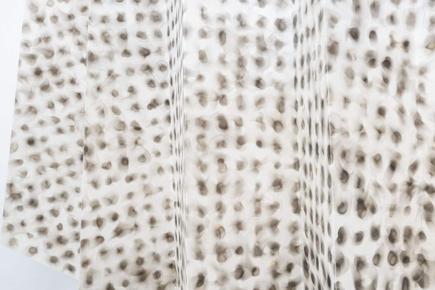 Kristiina Lahde and Adam David Brown 'Double Vision' at NAMARA projects